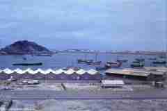 ���� ������ ��� ��� ����